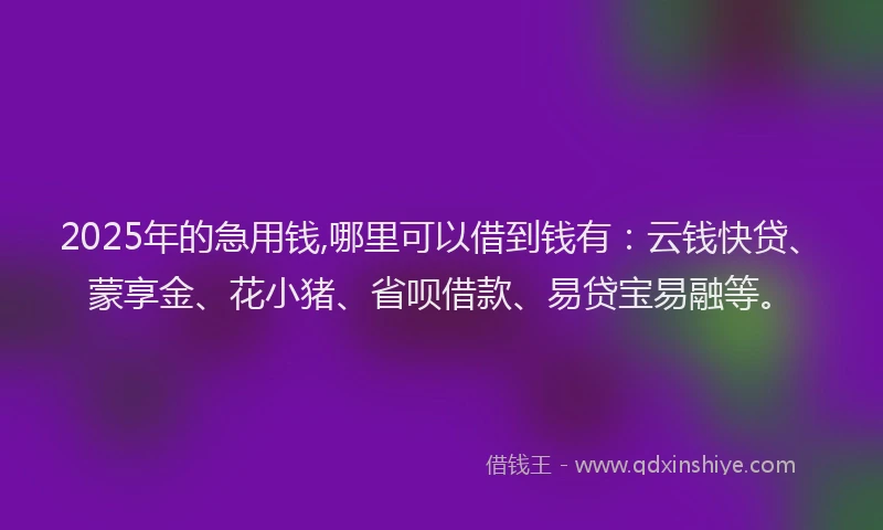 2025年的急用钱,哪里可以借到钱有：云钱快贷、蒙享金、花小猪、省呗借款、易贷宝易融等。