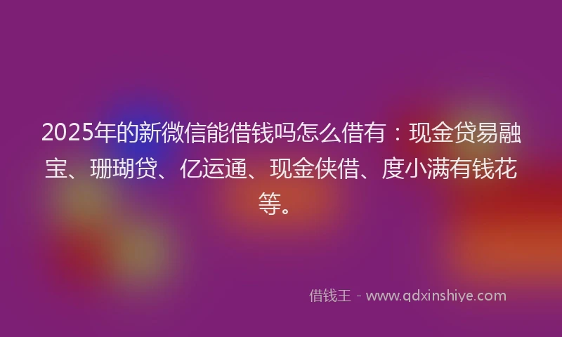 2025年的新微信能借钱吗怎么借有：现金贷易融宝、珊瑚贷、亿运通、现金侠借、度小满有钱花等。
