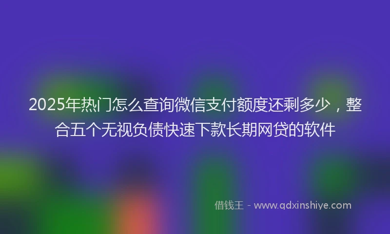 2025年热门怎么查询微信支付额度还剩多少，整合五个无视负债快速下款长期网贷的软件