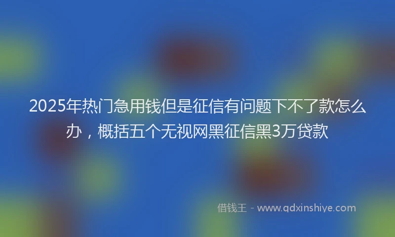 2025年热门急用钱但是征信有问题下不了款怎么办，概括五个无视网黑征信黑3万贷款