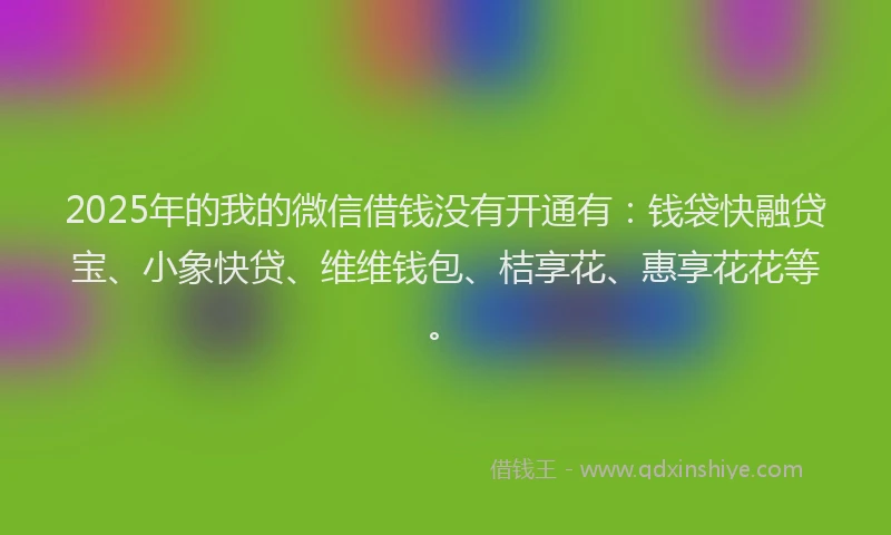 2025年的我的微信借钱没有开通有：钱袋快融贷宝、小象快贷、维维钱包、桔享花、惠享花花等。