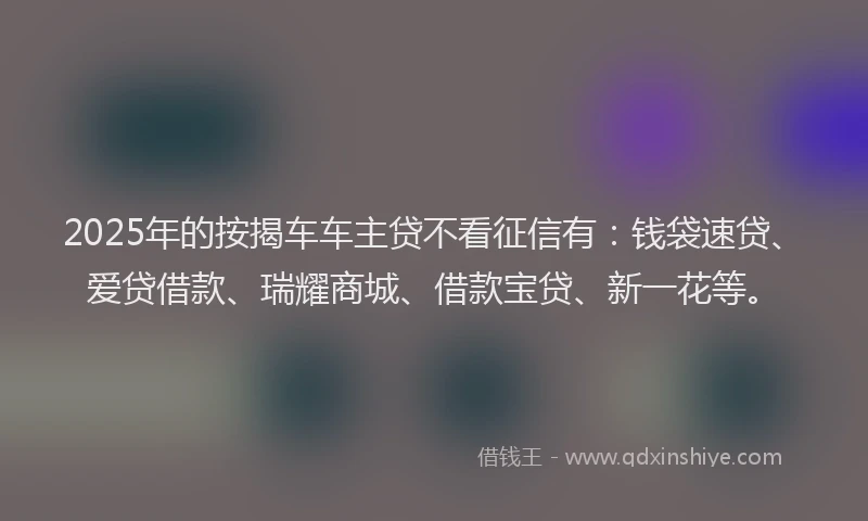 2025年的按揭车车主贷不看征信有：钱袋速贷、爱贷借款、瑞耀商城、借款宝贷、新一花等。