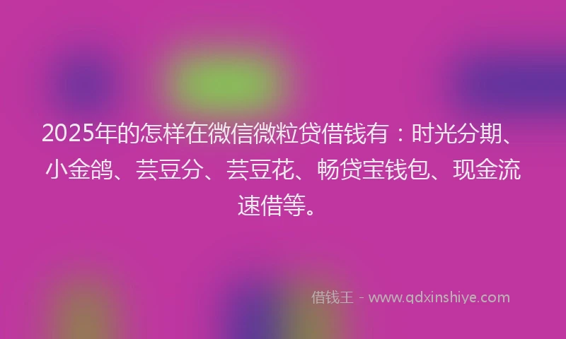2025年的怎样在微信微粒贷借钱有：时光分期、小金鸽、芸豆分、芸豆花、畅贷宝钱包、现金流速借等。