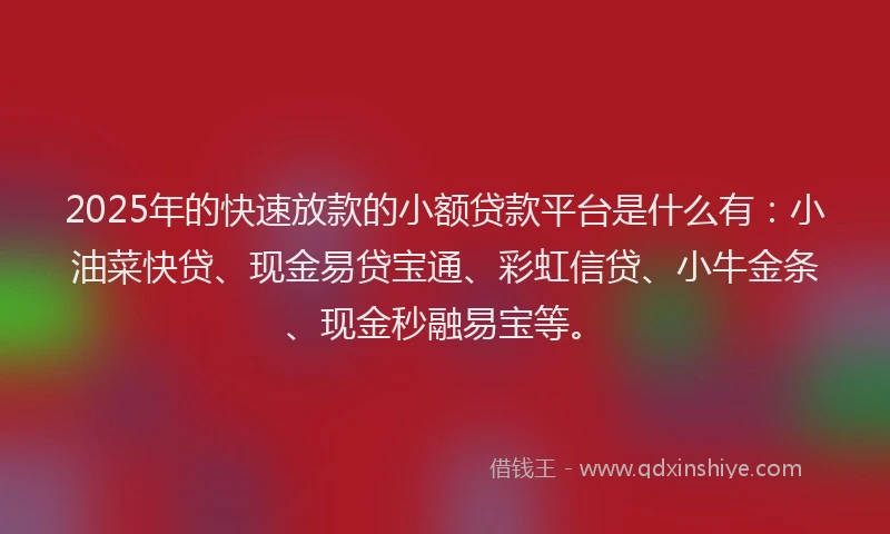 2025年的快速放款的小额贷款平台是什么有：小油菜快贷、现金易贷宝通、彩虹信贷、小牛金条、现金秒融易宝等。