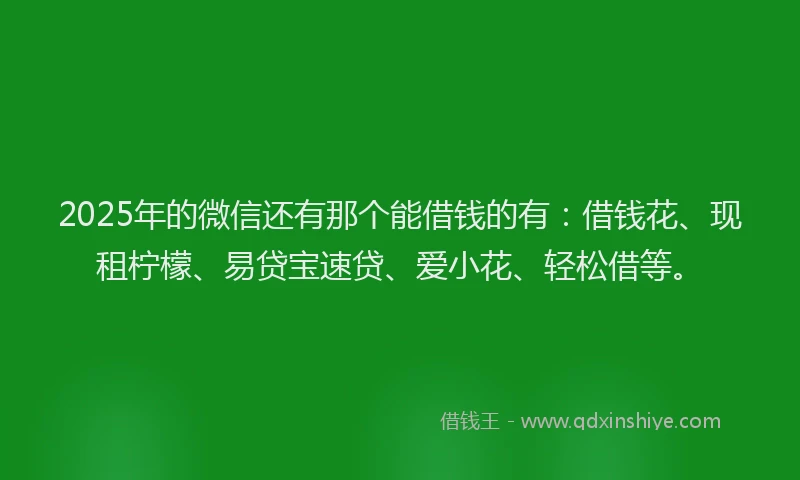 2025年的微信还有那个能借钱的有：借钱花、现租柠檬、易贷宝速贷、爱小花、轻松借等。