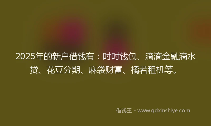 2025年的新户借钱有：时时钱包、滴滴金融滴水贷、花豆分期、麻袋财富、橘若租机等。