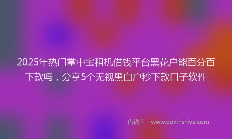 2025年热门掌中宝租机借钱平台黑花户能百分百下款吗，分享5个无视黑白户秒下款口子软件