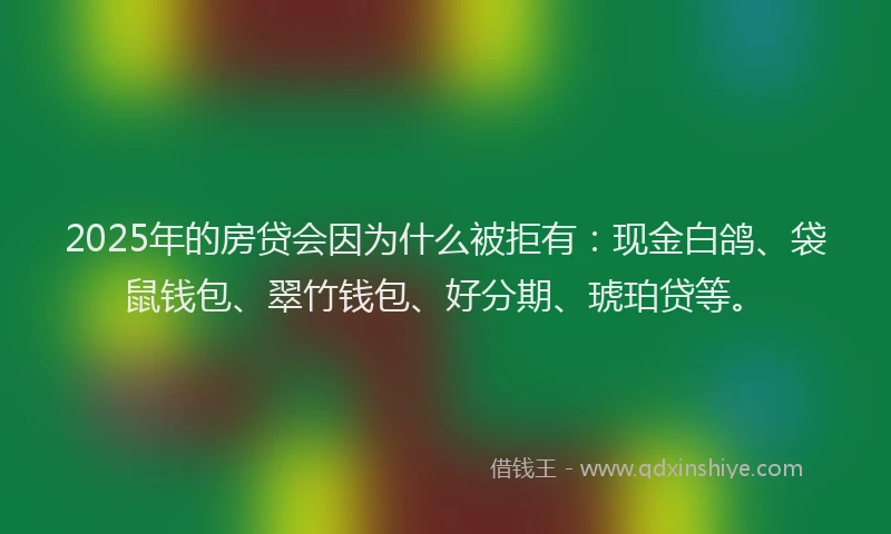 2025年的房贷会因为什么被拒有：现金白鸽、袋鼠钱包、翠竹钱包、好分期、琥珀贷等。