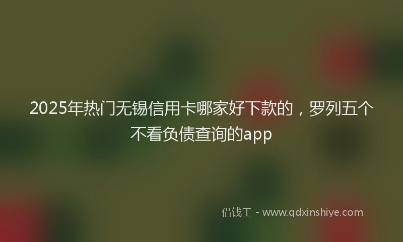 2025年热门无锡信用卡哪家好下款的，罗列五个不看负债查询的app