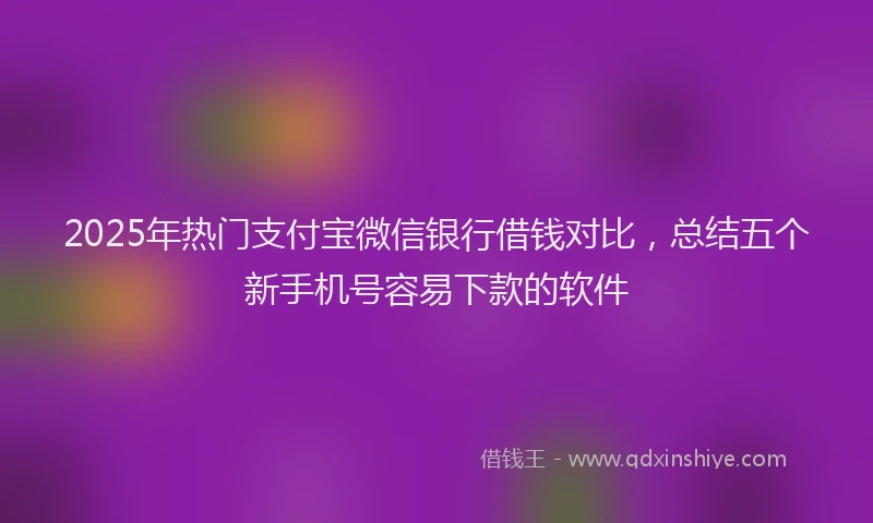 2025年热门支付宝微信银行借钱对比，总结五个新手机号容易下款的软件