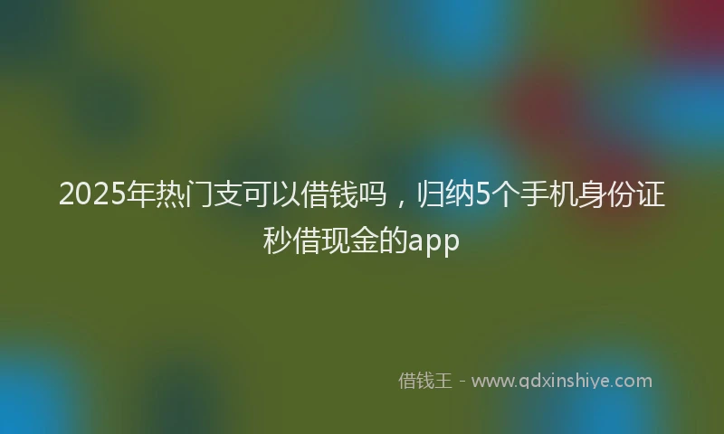 2025年热门支可以借钱吗，归纳5个手机身份证秒借现金的app