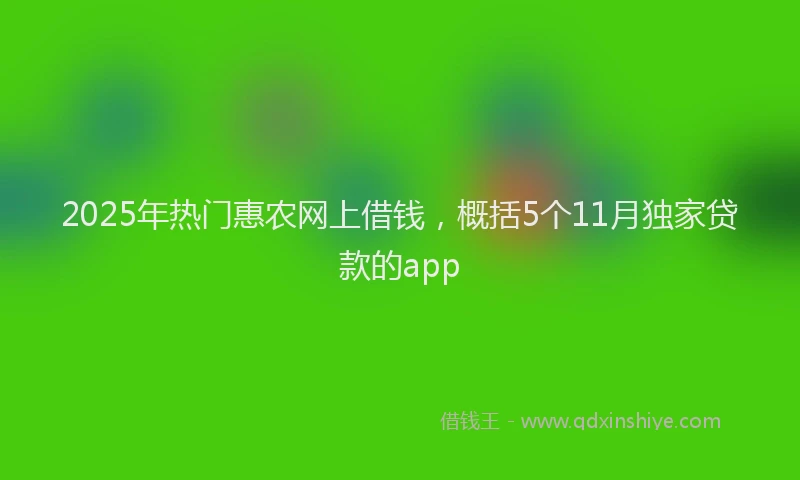 2025年热门惠农网上借钱，概括5个11月独家贷款的app