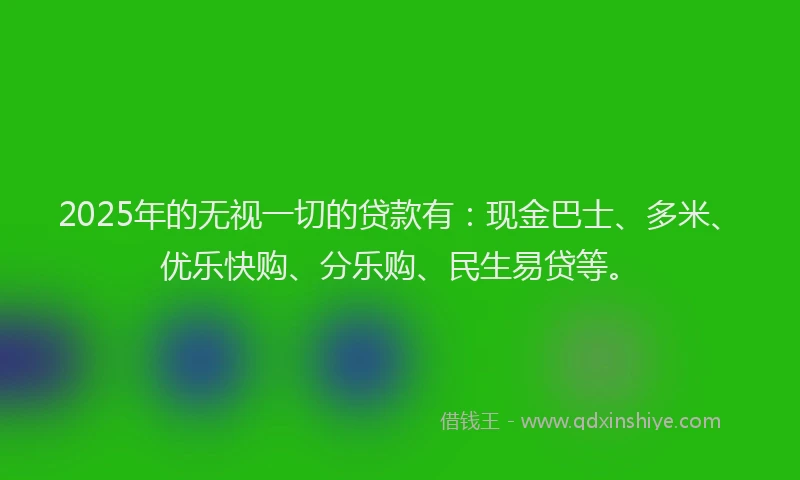 2025年的无视一切的贷款有：现金巴士、多米、优乐快购、分乐购、民生易贷等。