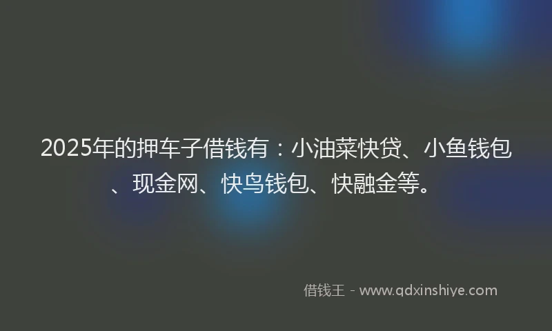 2025年的押车子借钱有：小油菜快贷、小鱼钱包、现金网、快鸟钱包、快融金等。