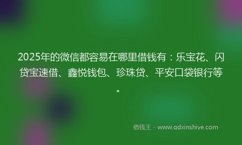 2025年的微信都容易在哪里借钱有：乐宝花、闪贷宝速借、鑫悦钱包、珍珠贷、平安口袋银行等。