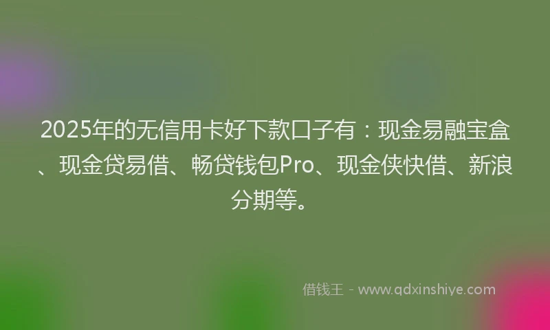 2025年的无信用卡好下款口子有：现金易融宝盒、现金贷易借、畅贷钱包Pro、现金侠快借、新浪分期等。