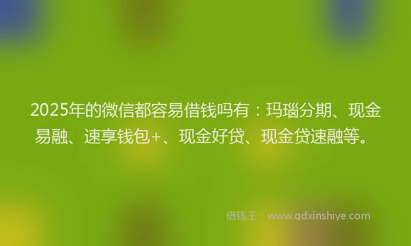 2025年的微信都容易借钱吗有：玛瑙分期、现金易融、速享钱包+、现金好贷、现金贷速融等。