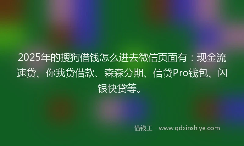 2025年的搜狗借钱怎么进去微信页面有：现金流速贷、你我贷借款、森森分期、信贷Pro钱包、闪银快贷等。