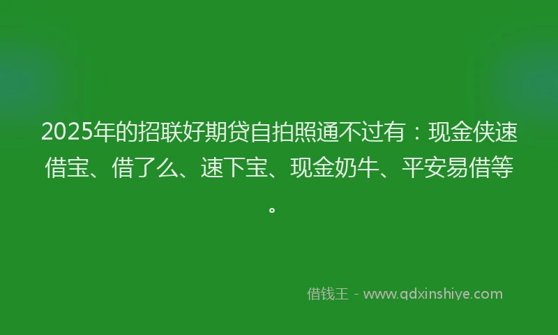 2025年的招联好期贷自拍照通不过有：现金侠速借宝、借了么、速下宝、现金奶牛、平安易借等。
