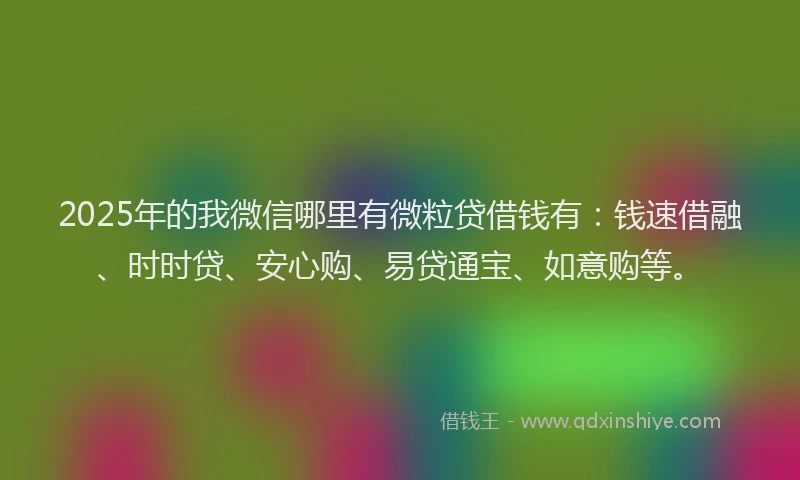 2025年的我微信哪里有微粒贷借钱有：钱速借融、时时贷、安心购、易贷通宝、如意购等。