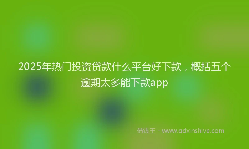 2025年热门投资贷款什么平台好下款，概括五个逾期太多能下款app