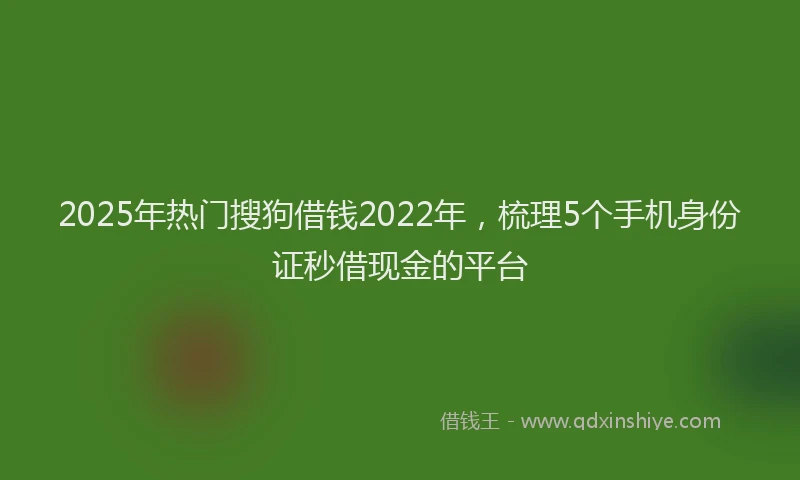 2025年热门搜狗借钱2022年，梳理5个手机身份证秒借现金的平台