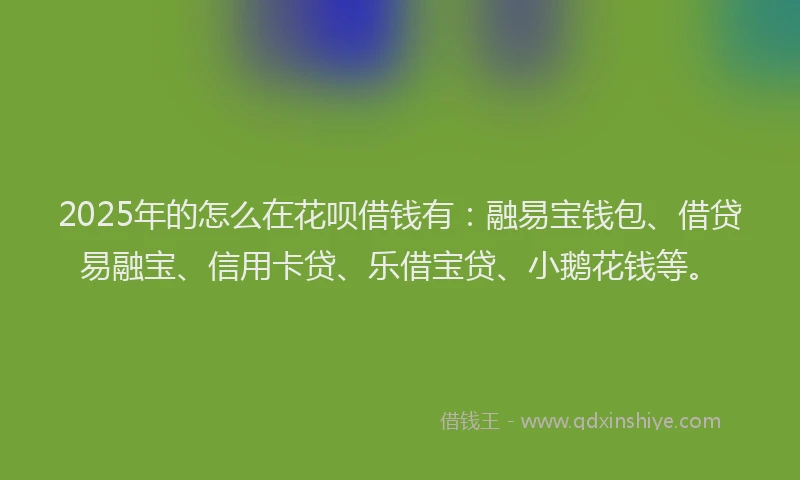 2025年的怎么在花呗借钱有：融易宝钱包、借贷易融宝、信用卡贷、乐借宝贷、小鹅花钱等。