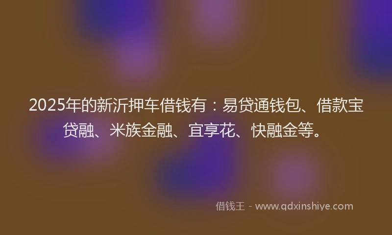 2025年的新沂押车借钱有：易贷通钱包、借款宝贷融、米族金融、宜享花、快融金等。