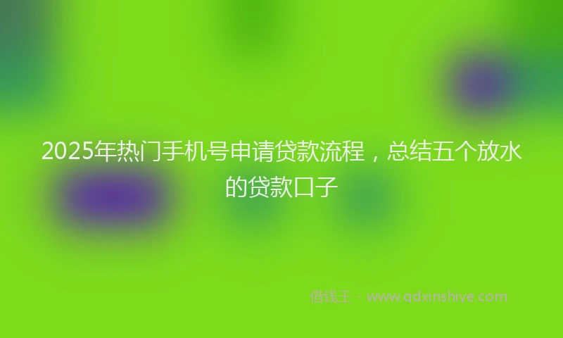 2025年热门手机号申请贷款流程，总结五个放水的贷款口子
