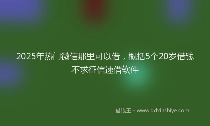 2025年热门微信那里可以借，概括5个20岁借钱不求征信速借软件