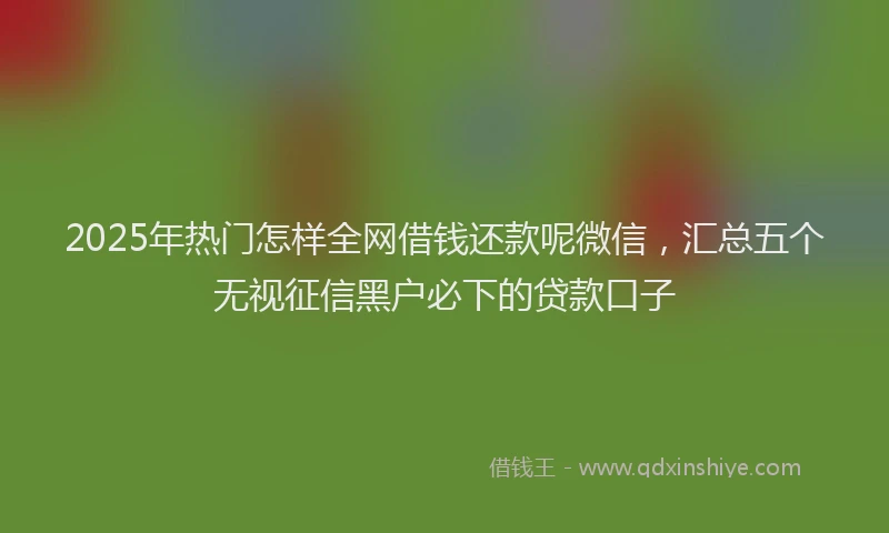 2025年热门怎样全网借钱还款呢微信，汇总五个无视征信黑户必下的贷款口子