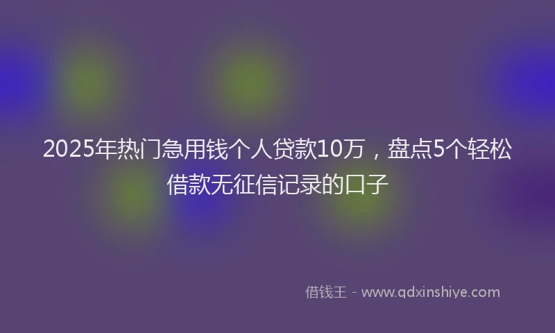 2025年热门急用钱个人贷款10万，盘点5个轻松借款无征信记录的口子