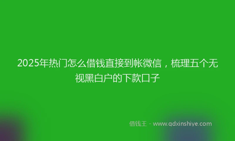 2025年热门怎么借钱直接到帐微信，梳理五个无视黑白户的下款口子