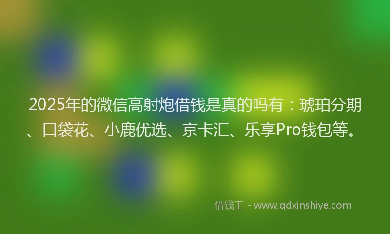 2025年的微信高射炮借钱是真的吗有：琥珀分期、口袋花、小鹿优选、京卡汇、乐享Pro钱包等。