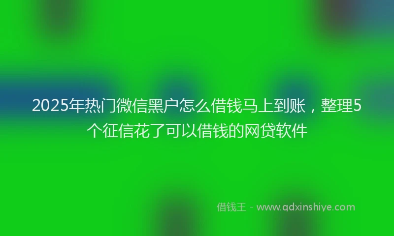 2025年热门微信黑户怎么借钱马上到账，整理5个征信花了可以借钱的网贷软件