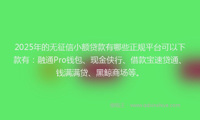 2025年的无征信小额贷款有哪些正规平台可以下款有：融通Pro钱包、现金侠行、借款宝速贷通、钱满满贷、黑鲸商场等。