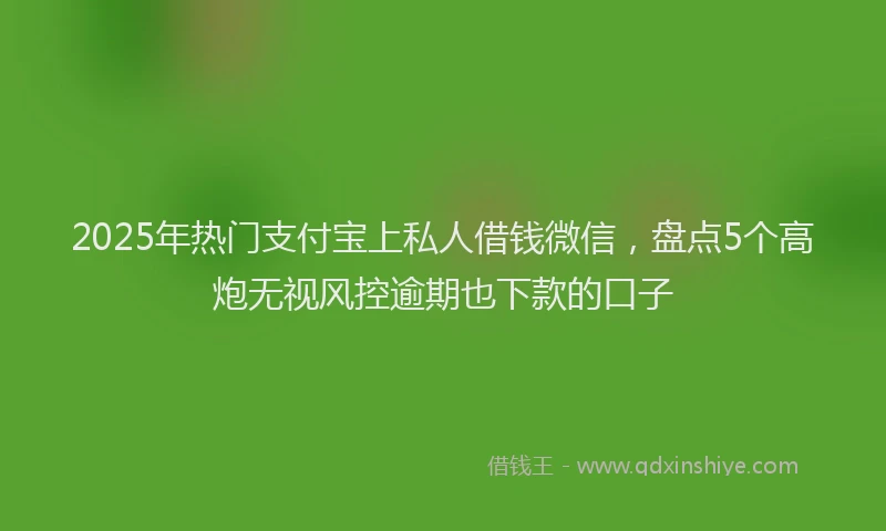 2025年热门支付宝上私人借钱微信，盘点5个高炮无视风控逾期也下款的口子