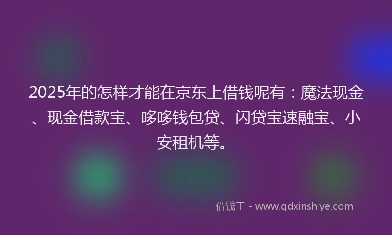 2025年的怎样才能在京东上借钱呢有：魔法现金、现金借款宝、哆哆钱包贷、闪贷宝速融宝、小安租机等。