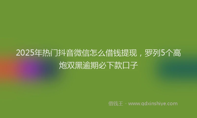 2025年热门抖音微信怎么借钱提现，罗列5个高炮双黑逾期必下款口子