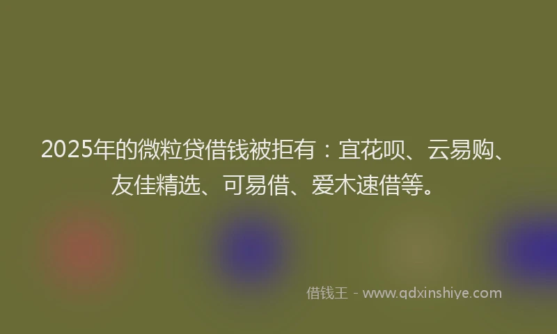 2025年的微粒贷借钱被拒有：宜花呗、云易购、友佳精选、可易借、爱木速借等。