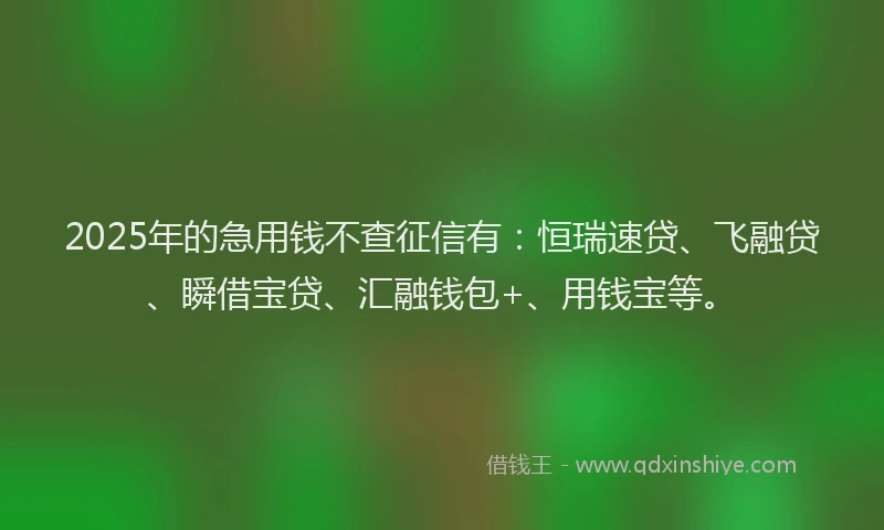 2025年的急用钱不查征信有：恒瑞速贷、飞融贷、瞬借宝贷、汇融钱包+、用钱宝等。