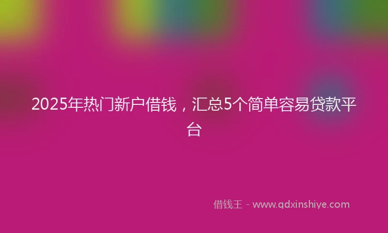 2025年热门新户借钱，汇总5个简单容易贷款平台