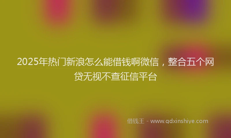 2025年热门新浪怎么能借钱啊微信，整合五个网贷无视不查征信平台