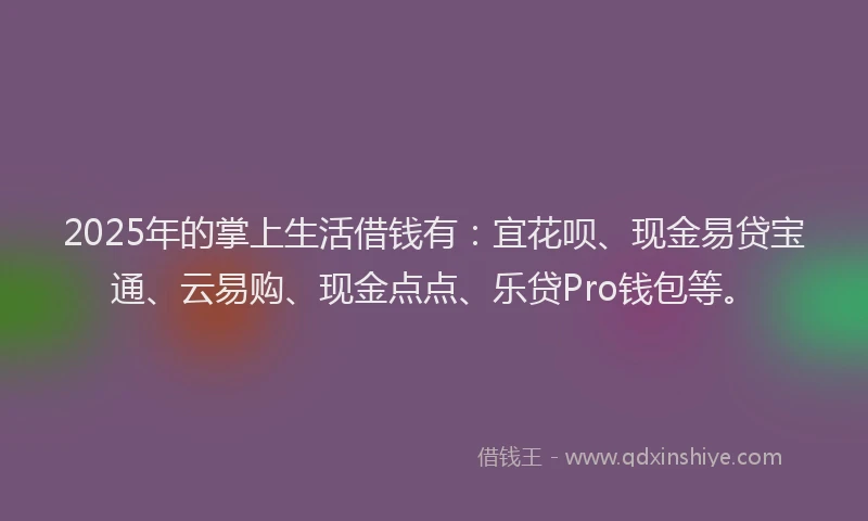 2025年的掌上生活借钱有：宜花呗、现金易贷宝通、云易购、现金点点、乐贷Pro钱包等。