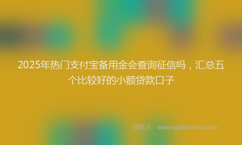2025年热门支付宝备用金会查询征信吗，汇总五个比较好的小额贷款口子