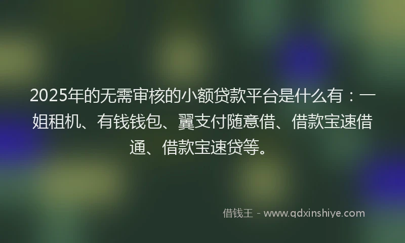 2025年的无需审核的小额贷款平台是什么有：一姐租机、有钱钱包、翼支付随意借、借款宝速借通、借款宝速贷等。