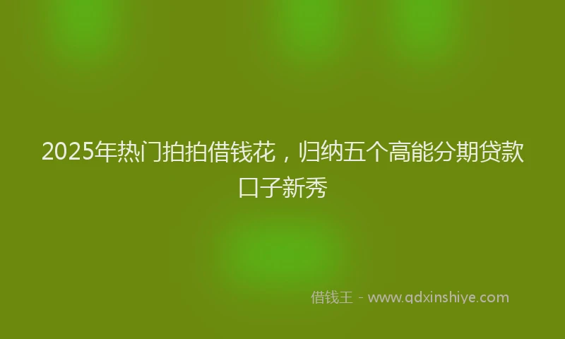 2025年热门拍拍借钱花，归纳五个高能分期贷款口子新秀