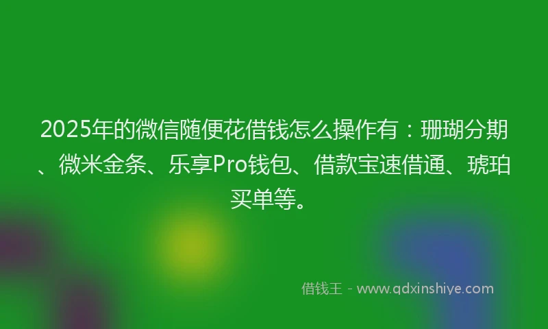2025年的微信随便花借钱怎么操作有：珊瑚分期、微米金条、乐享Pro钱包、借款宝速借通、琥珀买单等。