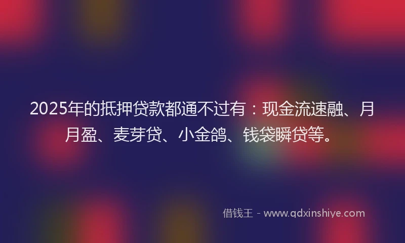 2025年的抵押贷款都通不过有：现金流速融、月月盈、麦芽贷、小金鸽、钱袋瞬贷等。