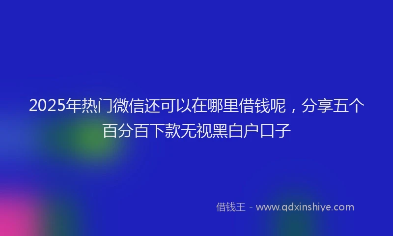 2025年热门微信还可以在哪里借钱呢，分享五个百分百下款无视黑白户口子